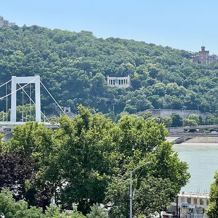 Golden At Erzsebet Bridge * Budapest